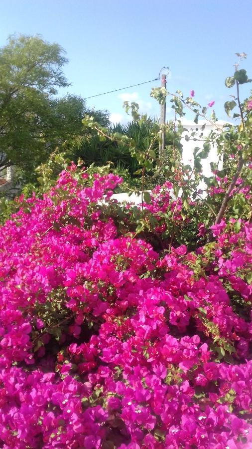 Pensão Algarve São Brás de Alportel Exterior foto